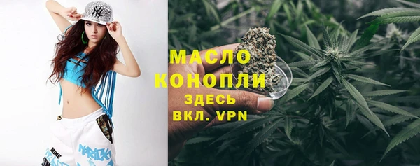 соль ск Богородск