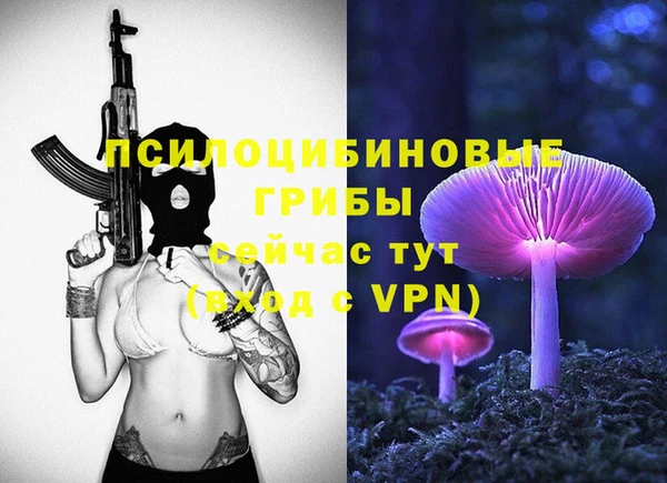 прущая мука Армянск