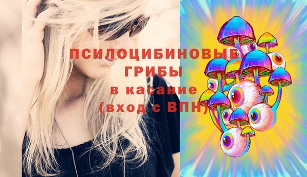 spice Богородицк