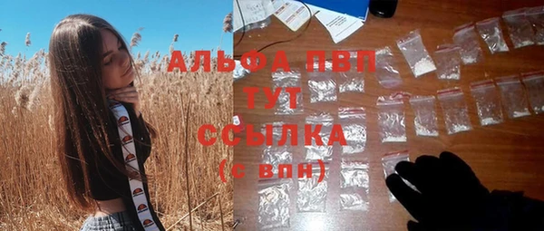 твердый Арсеньев