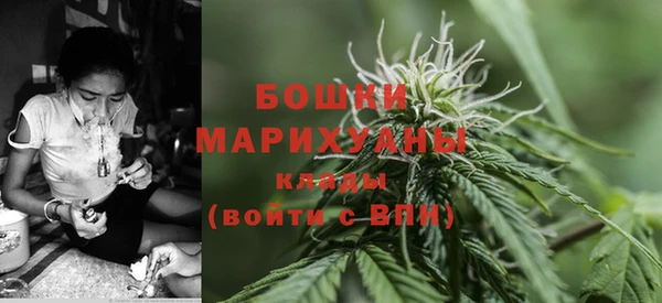 МДПВ Нефтегорск