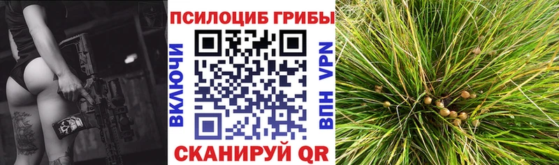 Галлюциногенные грибы Psilocybine cubensis  купить наркотик  Северск 